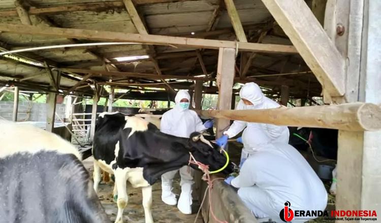 Pemkab Lumajang Targetkan 6000 Vaksin dari Kementerian