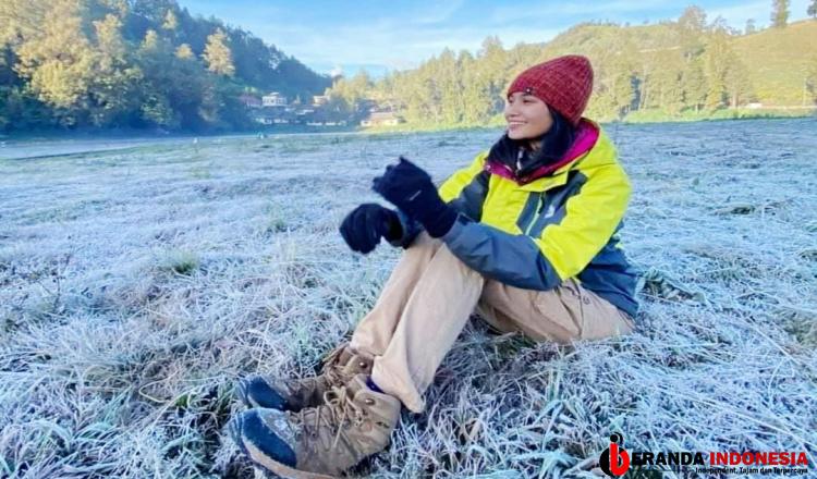 Fenomena Frozen Kembali Selimuti Ranupani Lumajang