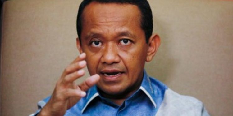 Pemerintah Bentuk Dirjen Baru Basmi Tambang Ilegal
