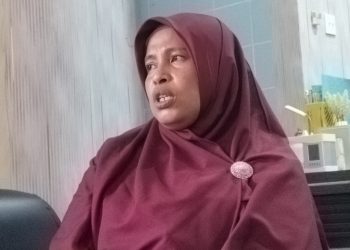 DLH Catat 30 Pelanggaran Lingkungan, Sektor Sawit Mendominasi