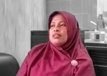 DLH Hadapi Tantangan Multisektor, dari Galian C hingga Persampahan