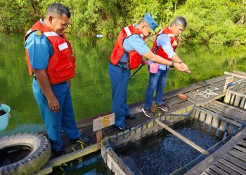 Dukung Ketahanan Pangan, Lanal Sangatta dan KPC Budidaya Ikan di Telaga Eks Tambang