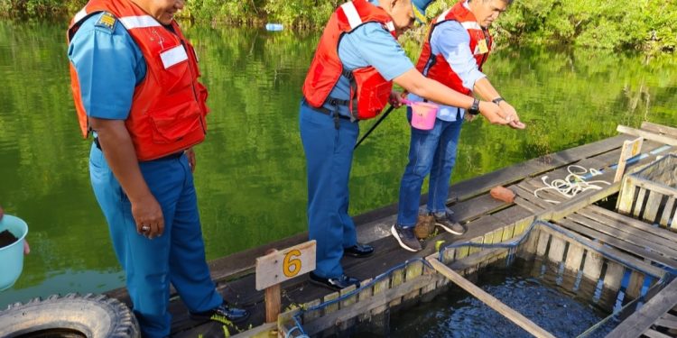 Dukung Ketahanan Pangan, Lanal Sangatta dan KPC Budidaya Ikan di Telaga Eks Tambang
