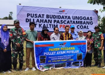 KPC Gandeng Asosiasi Kembangkan Peternakan Ayam Petelur di Kutai Timur