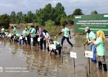 PT APE Tanam 4 Ribu Mangrove, Mahyunadi: Kita Krisis Oksigen