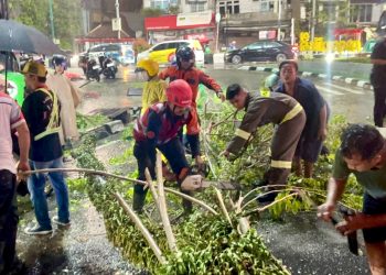 Brimob Bantu Evakuasi Pohon Tumbang di Jalan MT Haryono