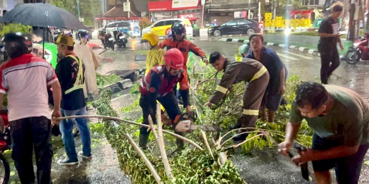 Brimob Bantu Evakuasi Pohon Tumbang di Jalan MT Haryono