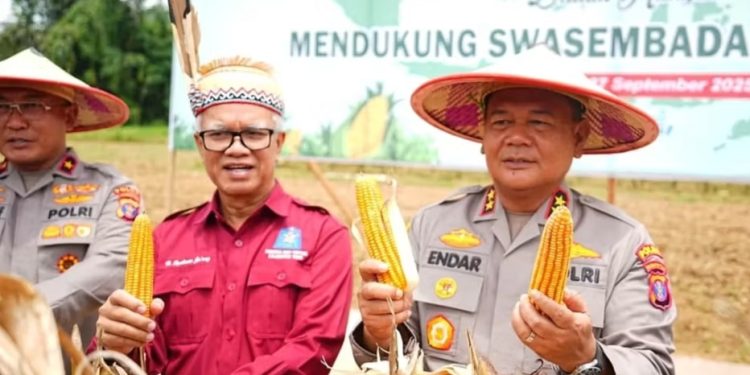 Polda Kaltim Gelar Panen Raya Jagung Serentak Kuartal III 2025