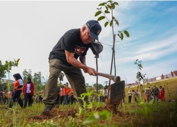 ASN IKN Tanam 700 Pohon, Jaga Ekosistem Nusantara 