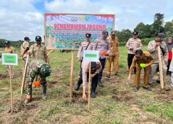Polres Kutai Timur Perluas Lahan Jagung di Muara Wahau