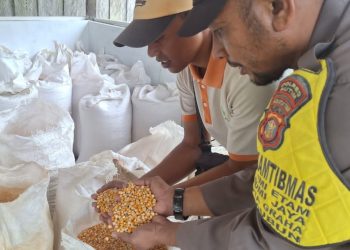 Polsek Kaliorang Siap Salurkan Hasil Panen Jagung Pipil ke Bulog