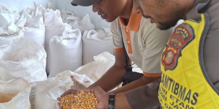Polsek Kaliorang Siap Salurkan Hasil Panen Jagung Pipil ke Bulog