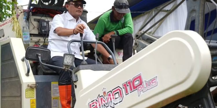 Panen Demplot Padi dan Aplikasi Digital Farming di Tenggarong 