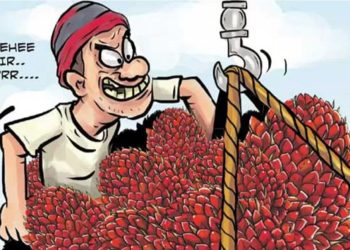 Pencuri Buah Sawit 20 Kg  Ditangkap Polsek Batu Engau