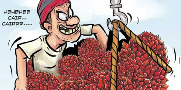 Pencuri Buah Sawit 20 Kg  Ditangkap Polsek Batu Engau