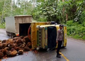 Polsek Kelay Tangani Kecelakaan Fuso di Poros Berau–Samarinda