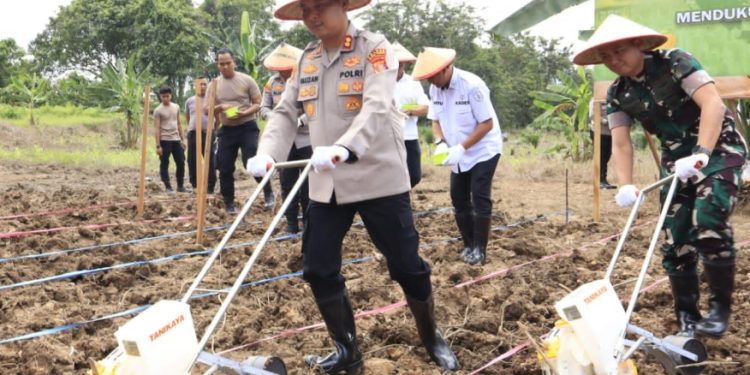 Dandim Kutai Timur Tanam Jagung Perdana Kuartal IV di Swarga Bara