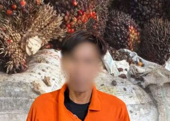 Maling Brondolan Sawit Perusahaan Diringkus Polsek Loa Kulu 