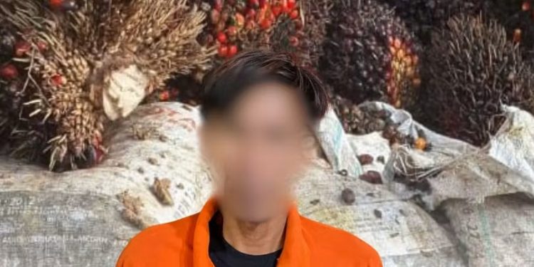Maling Brondolan Sawit Perusahaan Diringkus Polsek Loa Kulu 