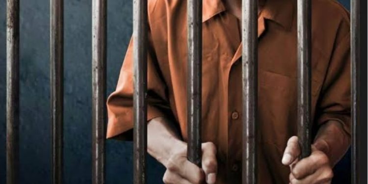 Tim Elang Polres Paser Tangkap Pengedar Narkoba di Kuaro 