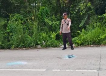 Truk Tabrak Jazz di Poros Kota Bangun-Tenggarong, Semua Selamat