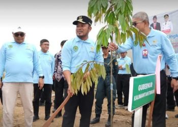 Gubernur Minta Sepanjang Jalan Provinsi Ditanami Pohon Endemik Kalimantan 