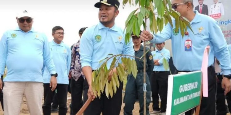 Gubernur Minta Sepanjang Jalan Provinsi Ditanami Pohon Endemik Kalimantan 