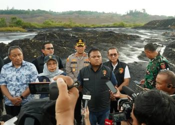 Bareskrim Ungkap Penjualan dan Pengangkutan Batu Bara Ilegal di Bukit Soeharto