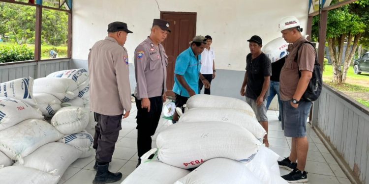 Polsek Muara Wahau dan Kongbeng Pantau Penjualan Jagung Hibrida 3,7 Ton 
