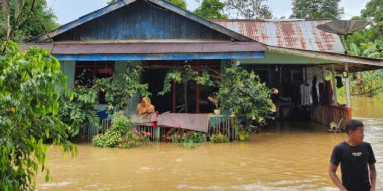 Sungai Meluap, Puluhan Rumah Warga Sepaku Terendam Banjir