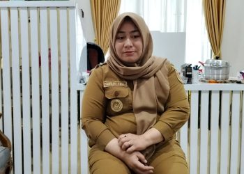 Cair Akhir Tahun, Singa Gembara Tak Bisa Gunakan Bankeususdes Rp250 Juta/RT