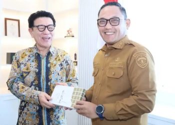 Wagub Terima Audiensi Kanzai Corporation, Bahas Peluang Investasi Perdagangan Karbon