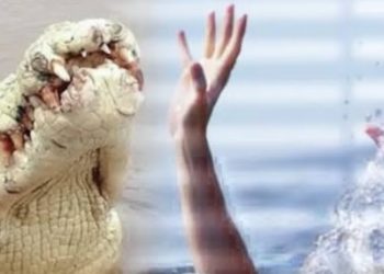 Pria di Muara Jawa Hilang Diterkam Buaya, Tim SAR Temukan Potongan Tangan Korban