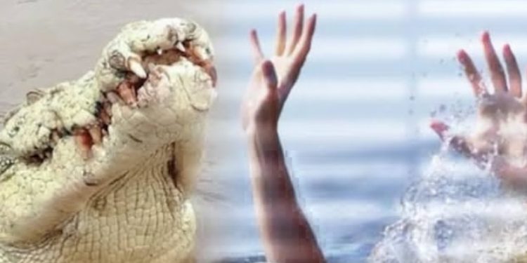 Pria di Muara Jawa Hilang Diterkam Buaya, Tim SAR Temukan Potongan Tangan Korban