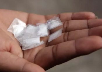 Diduga Pengedar Sabu, Wanita Muda di Tenggarong Dibekuk Polisi