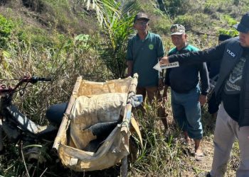 Warga di Bengalon Tewas Tertindih Pohon Ulin yang Ditebangnya