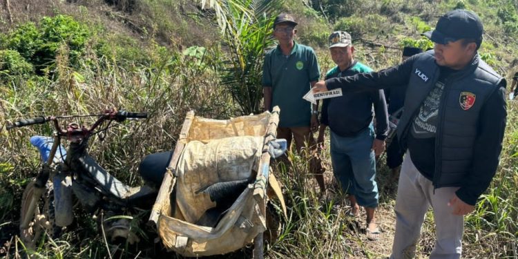 Warga di Bengalon Tewas Tertindih Pohon Ulin yang Ditebangnya