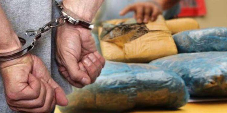 Polsek Loa Kulu Bongkar Jaringan Ganja 3 Kg Libatkan WNA
