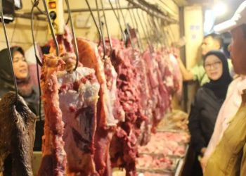 DPKH Kaltim Pastikan Stok Daging, Ayam dan Telur Aman hingga Lebaran