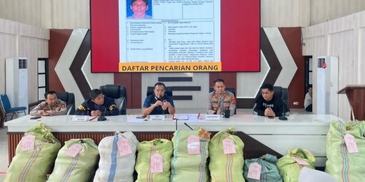 Polda Sumsel Bongkar Ladang Ganja 20 Hektare, 220 Kilogram Disita
