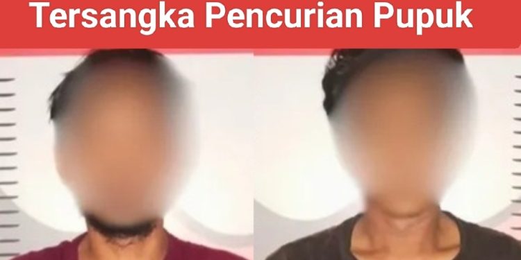 Dua Pencuri Pupuk Perusahaan Ditangkap Polsek Muara Kaman 