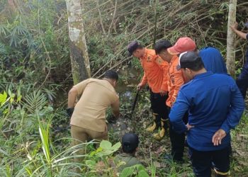 Perempuan Penyadap Karet di Penajam Tewas Diduga Diserang Buaya