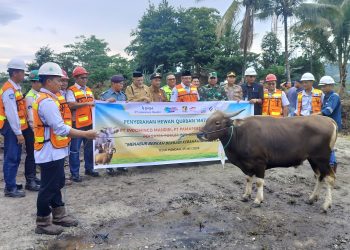 IMM, PAMA dan Forum CSR Kontraktor Salurkan 99 Hewan Kurban 