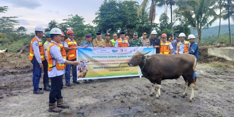 IMM, PAMA dan Forum CSR Kontraktor Salurkan 99 Hewan Kurban