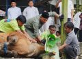 Kapolda Kaltim Salurkan 140 Ekor Hewan Kurban untuk Masyarakat 