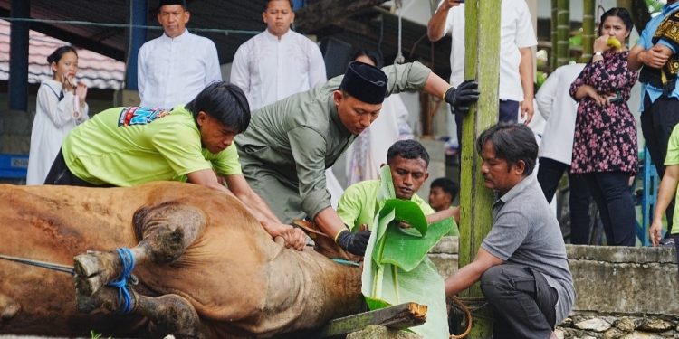 Kapolda Kaltim Salurkan 140 Ekor Hewan Kurban untuk Masyarakat