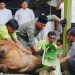 Kapolda Kaltim Salurkan 140 Ekor Hewan Kurban untuk Masyarakat 