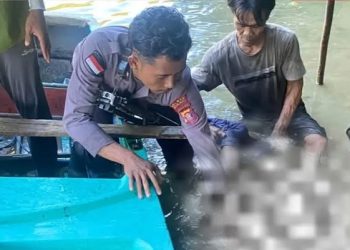 Nelayan di Maratua Tewas Diterkam Buaya Saat Cari Kerang di Danau Kuku