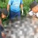 Warga Labanan Jaya Berau Digegerkan Penemuan Pria Meninggal di Kebun 